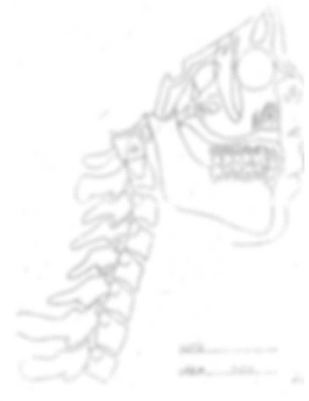 TECH 2701 X Ray Diagram 1_dnz1feugwhy_page1