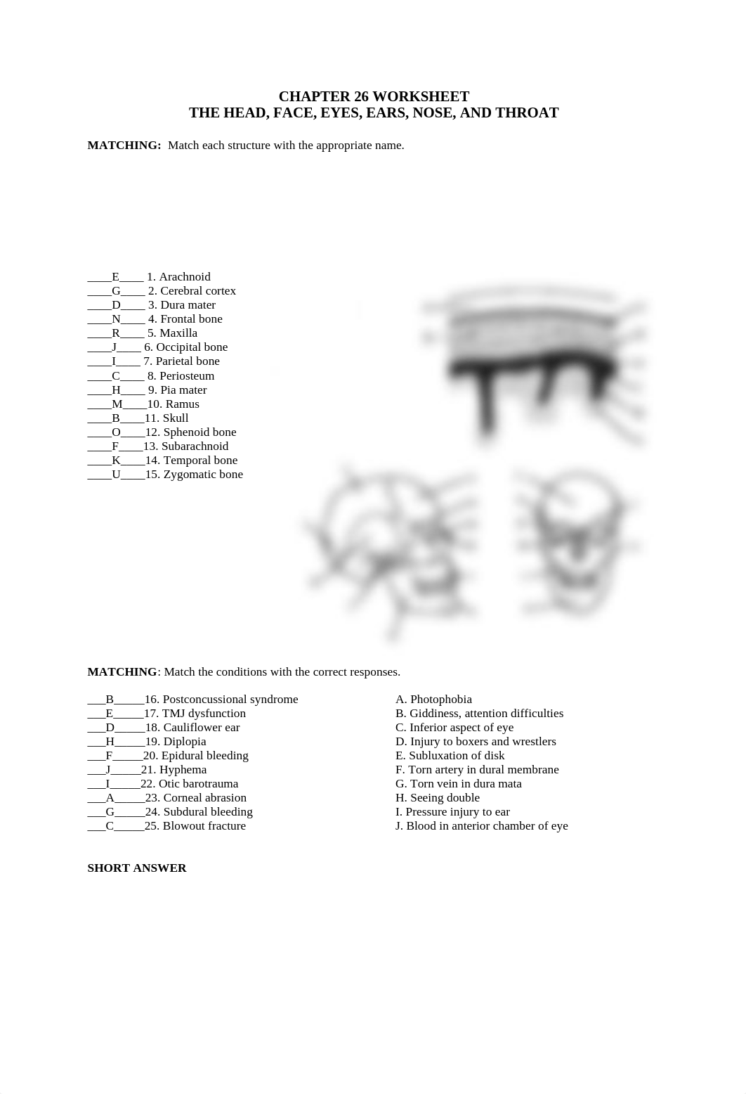 Head worksheet.pdf_dnz6sigv72e_page1