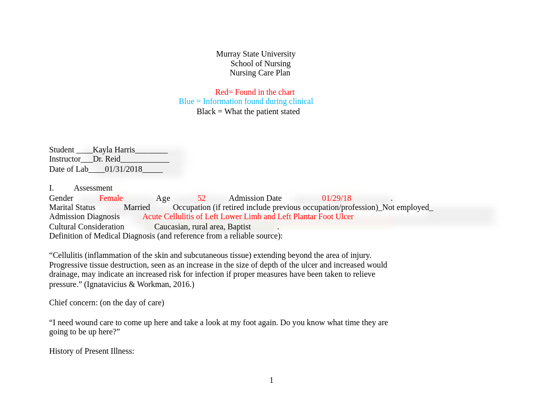 Care Plan 1 Med Surg 2.docx_dnz8wk0hxvf_page1