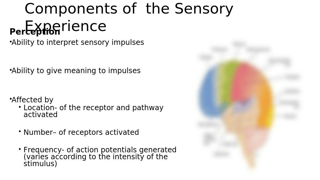 Sensory Perception student copy w notes.pptx_dnzdj7e60bn_page5