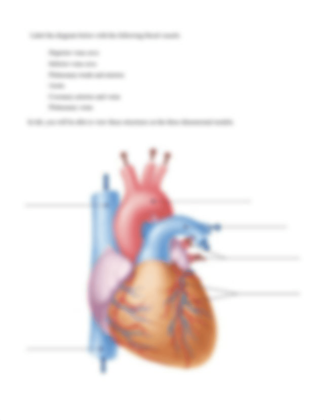 Assignment - HEART and BLOOD VESSELS.docx_dnzecd4p3h6_page4