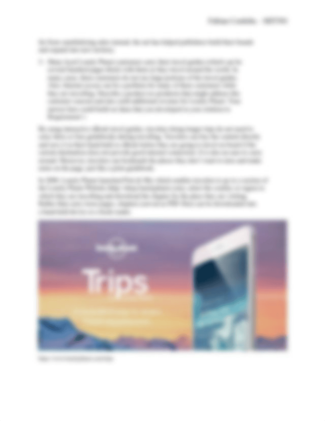 MIT501 Case Study 3 C1. Lonely Planet.docx_dnzio1pn486_page3