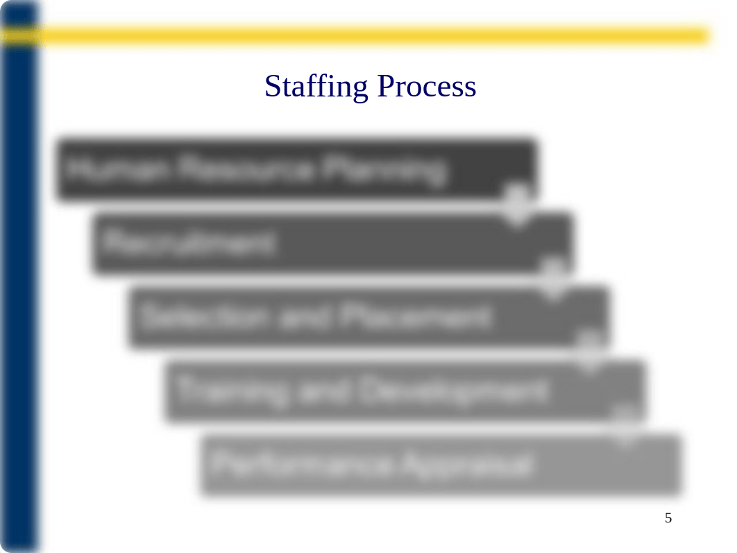 7.Staffing.ppt_dnzl4emdzdw_page5