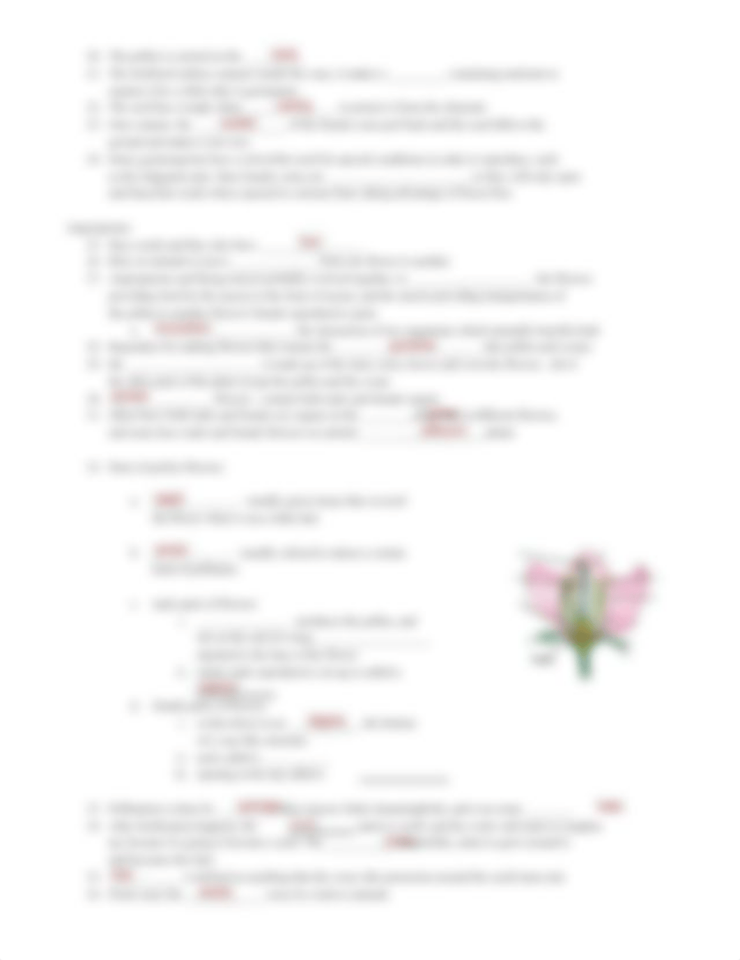 CrashCourse - Plant Reproduction ass 7.pdf_dnznzdlvu0b_page2