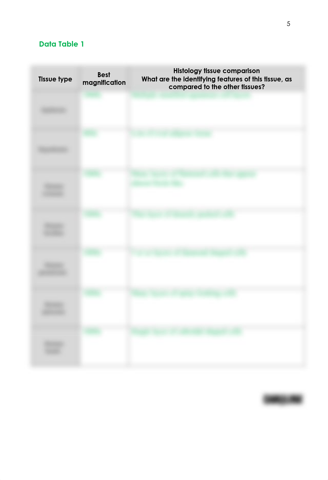 K Harvey BIO201 Introduction to Histology_The Skin_Answer sheet.pdf_dnztw8kmul8_page5