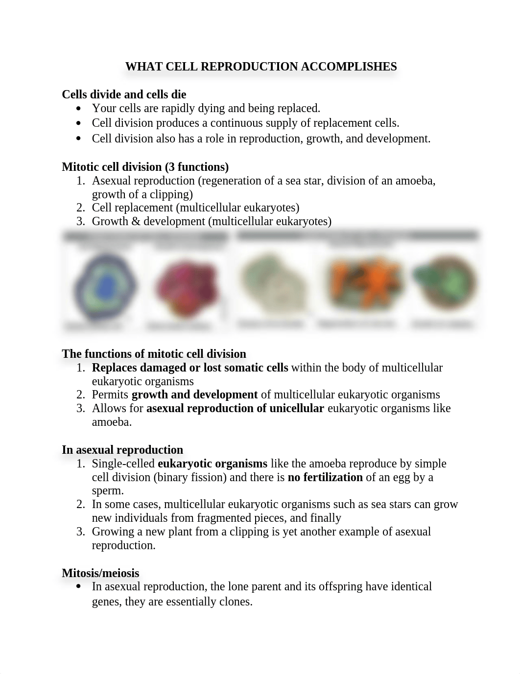 LAB EXAM 4 (1).docx_dnzucc3tj4d_page1