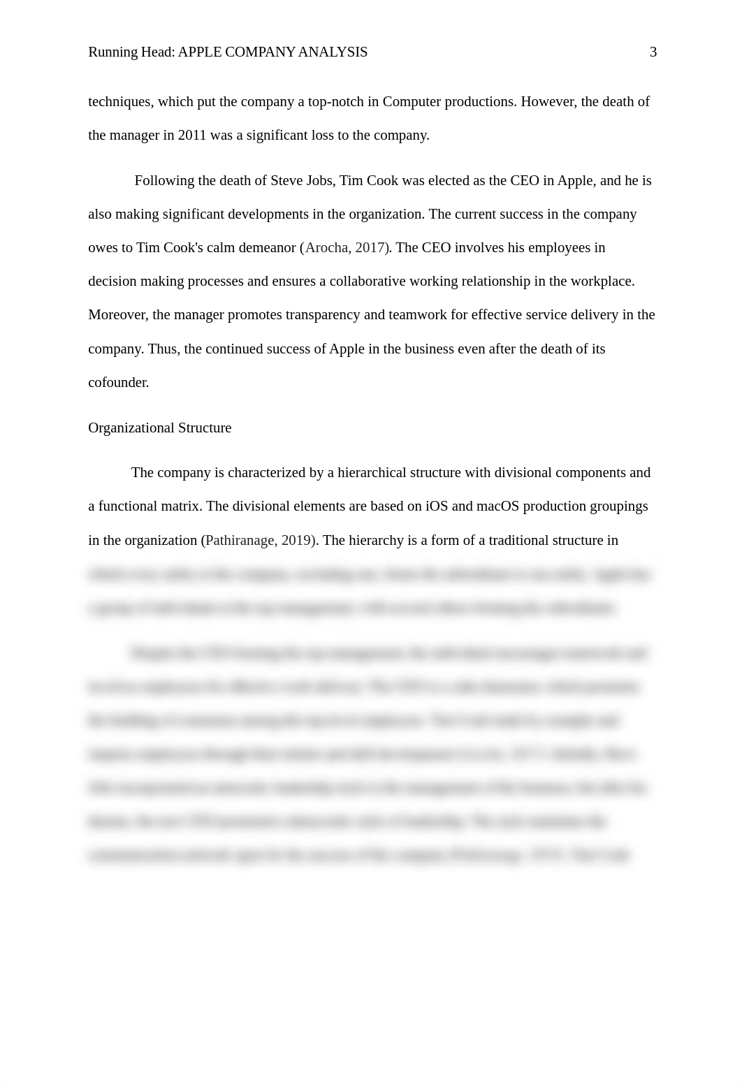 Apple Company Analysis  final.docx_dnzv80s4sat_page3