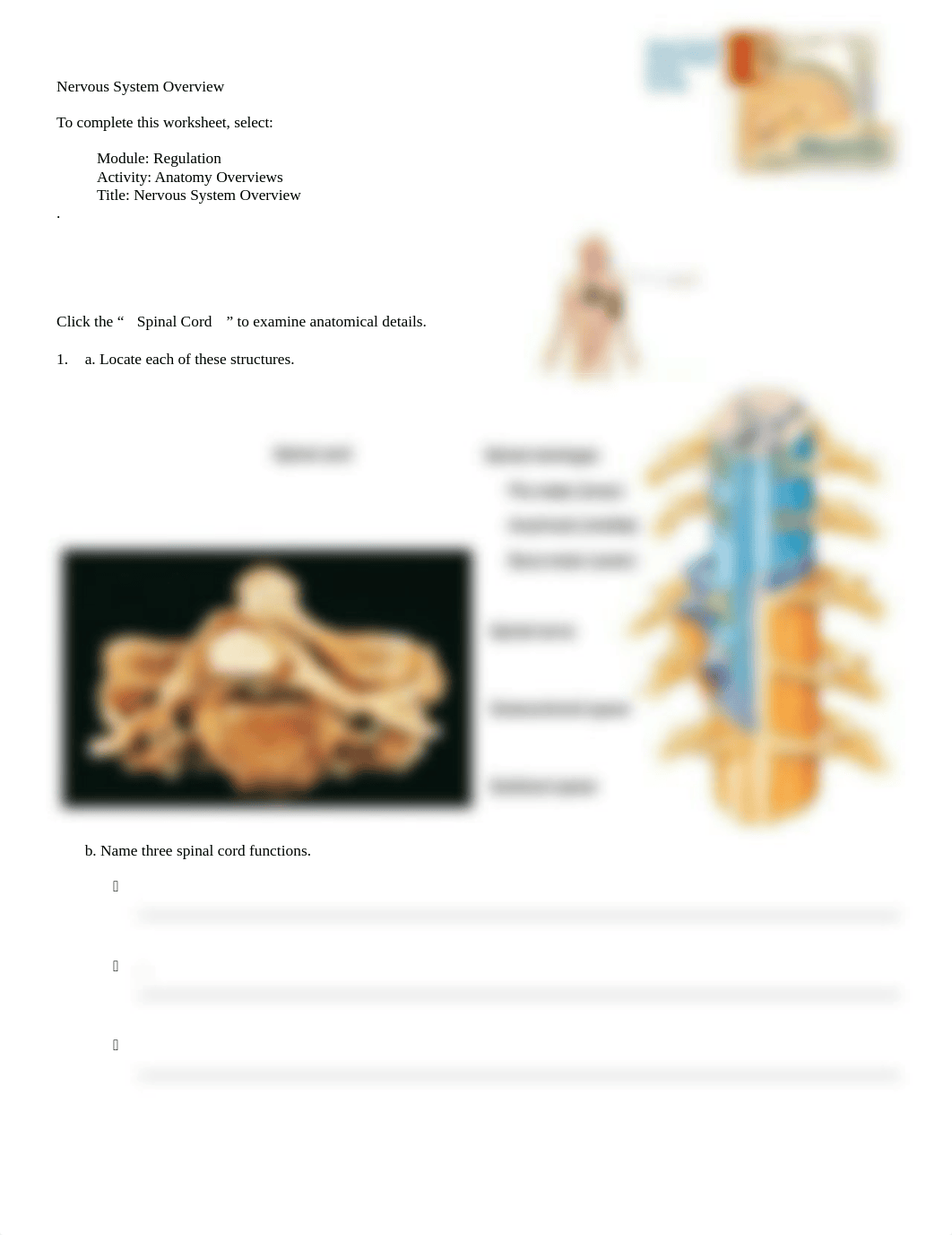 reg_overview chapter 12 sheet 1.doc_do081lbp41z_page1