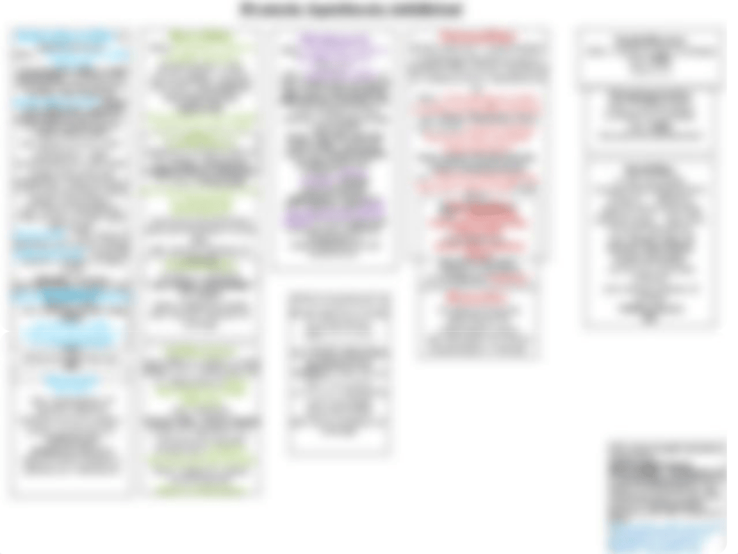 Pharm Exam 4 ABX Drug Chart.ppt_do09o9fif8b_page2