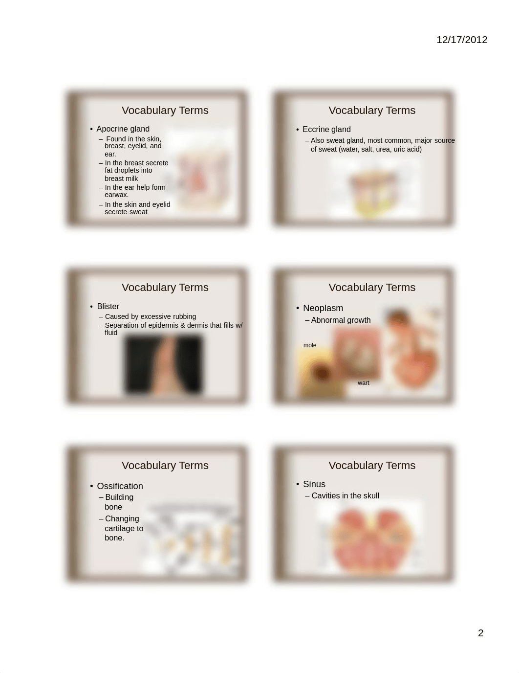 anatomy and physiology midterm review 6 per page.pdf_do0a26u66cl_page2