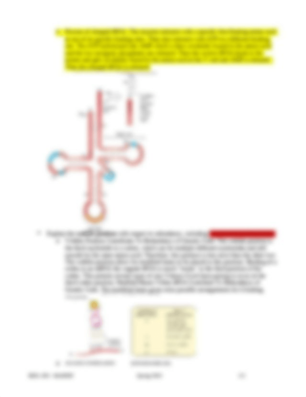 GENETICS-STUDY_GUIDE-EXAM2-2020_(1).docx_do0ajizcwd1_page2