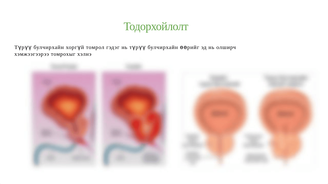 Copy-of-Urology.pptx_do0audg3jsz_page3