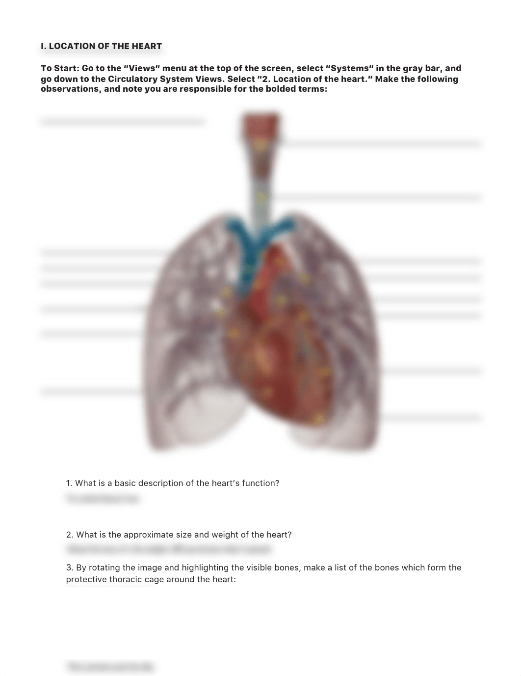 lab manual_human heart_atlas EP.pdf_do0kse8isjh_page3