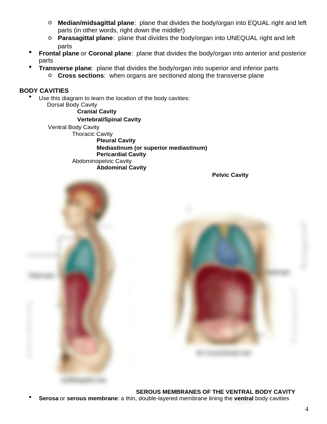 Lab Packet 1 - INSTRUCTORS.docx_do0oavzzgph_page4