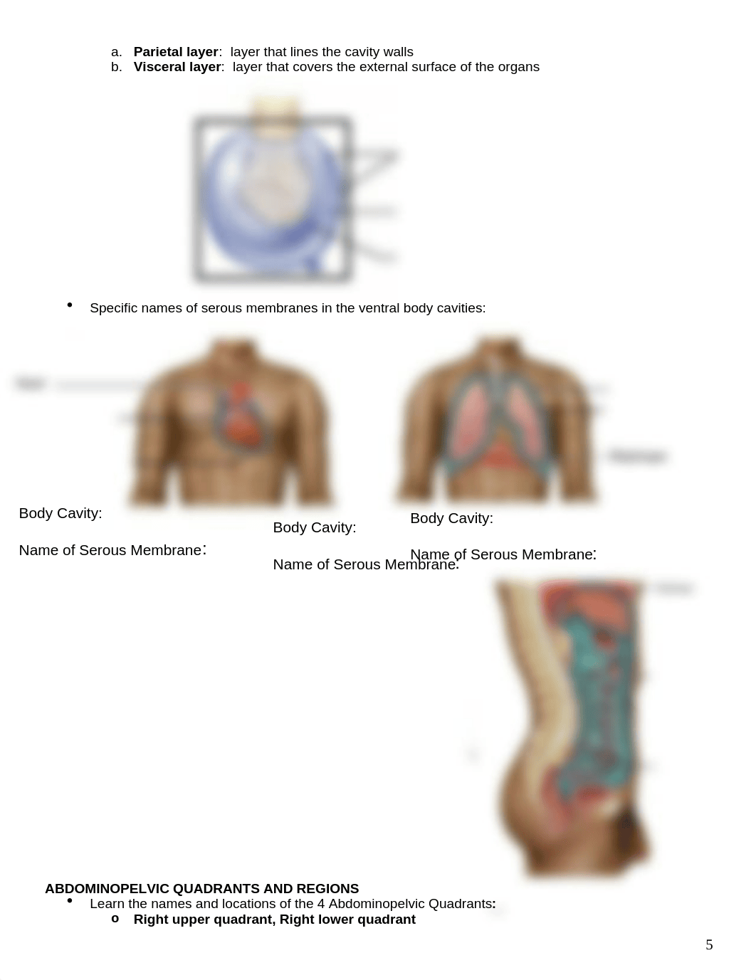 Lab Packet 1 - INSTRUCTORS.docx_do0oavzzgph_page5