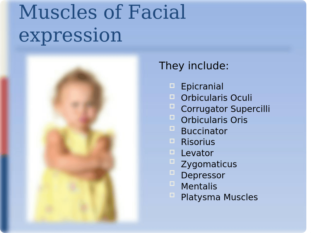 A 210 Anatomy- Muscles of the Head and Neck Lecture.pptx_do121nkzg6y_page4