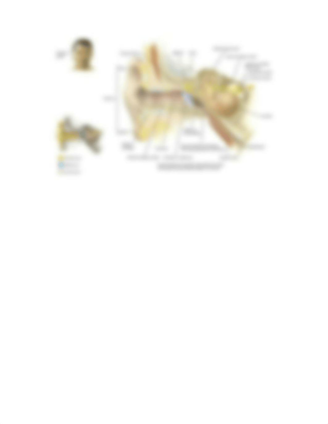 January 13 Lecture_do12fefj2v1_page3