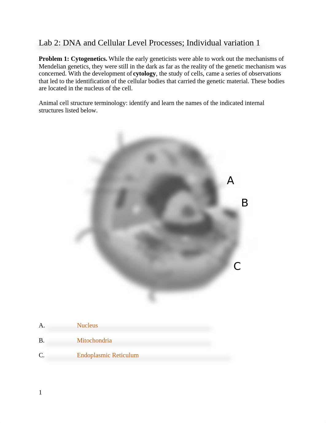 Xi Lin Lab 2.docx_do13lft3rtp_page1