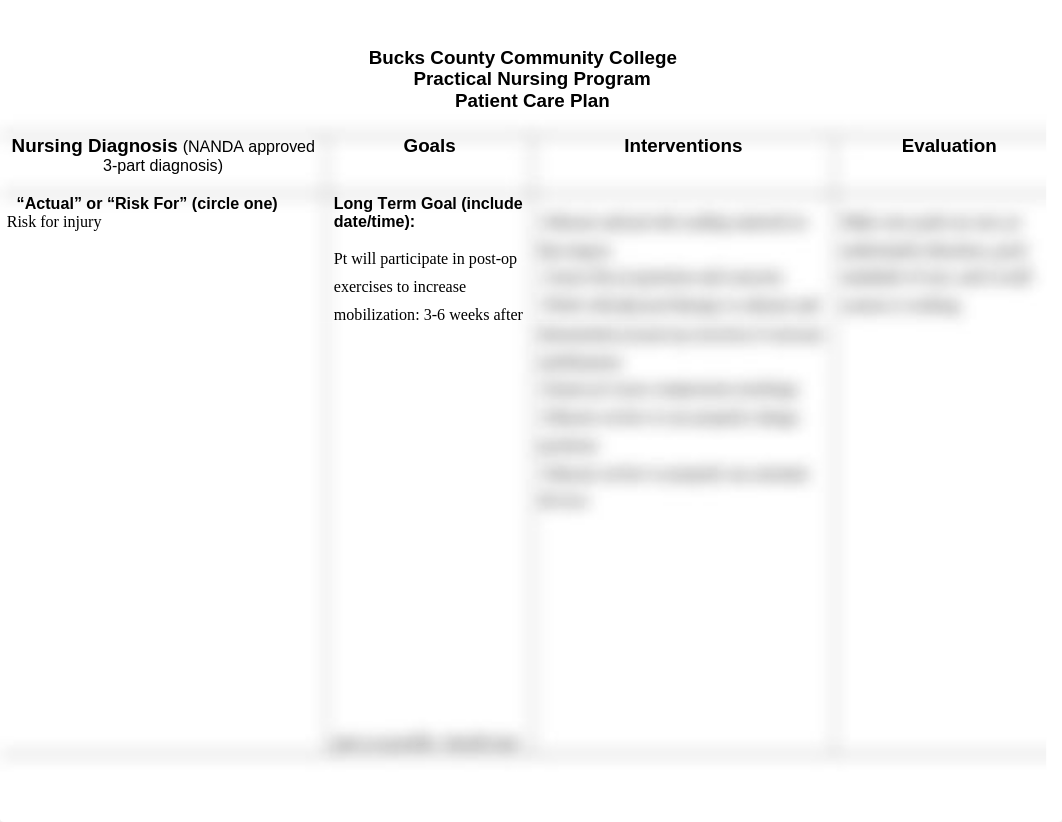 Nursing Care Plan-risk for injury.docx_do14m140j1j_page1