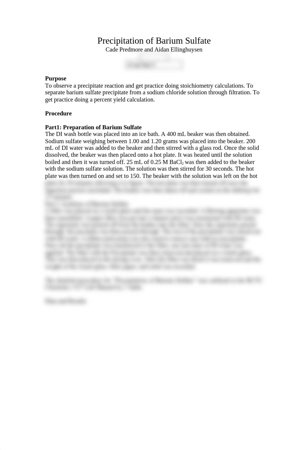 Precipitation of Barium Sulfate Report Template (1).docx_do1d94ckg44_page1