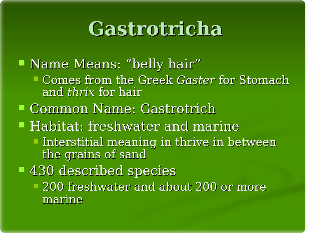 Phylum Gastrotricha.ppt_do1jbvl8z6l_page2