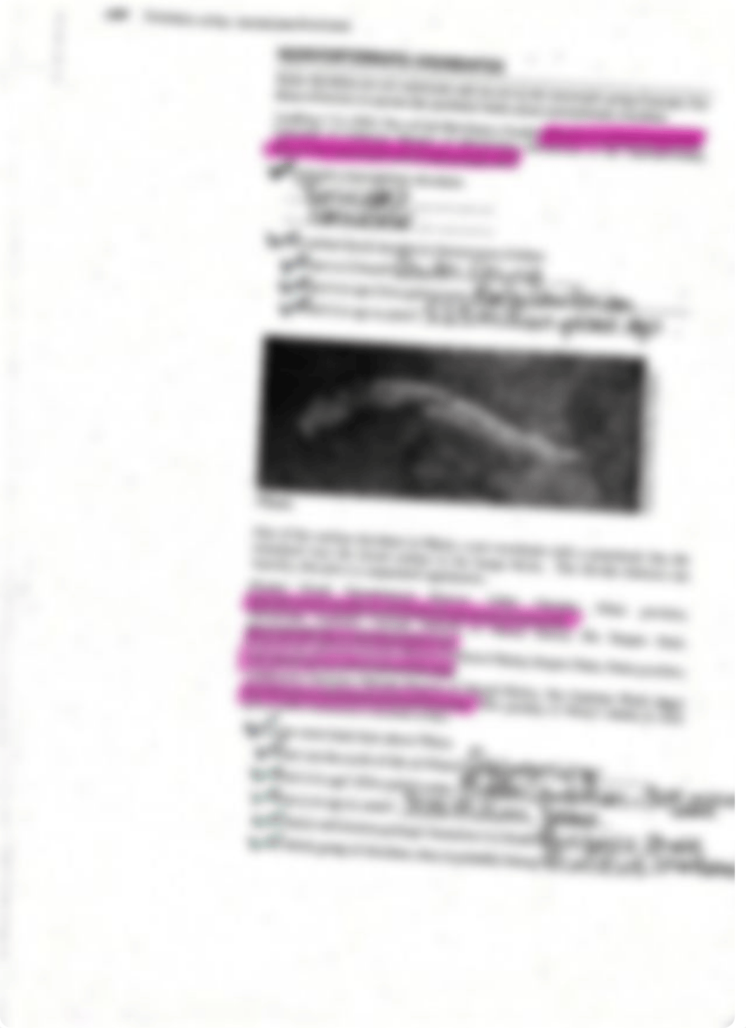 Evolution_of_Vertebrates_Lab..pdf_do1m2bnemv3_page2