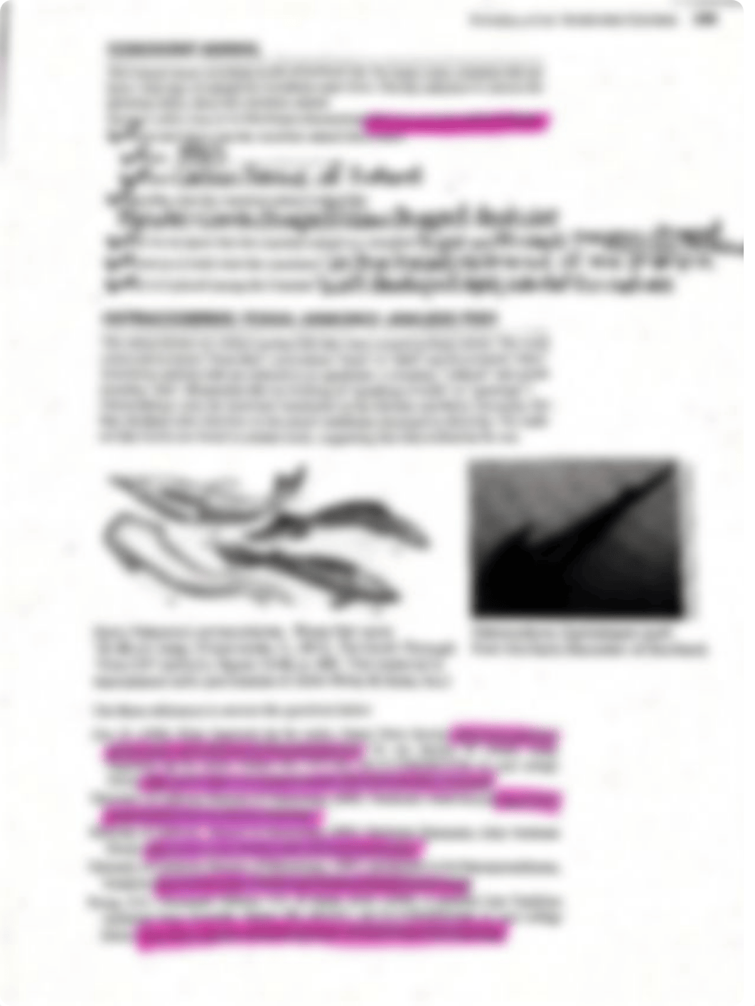 Evolution_of_Vertebrates_Lab..pdf_do1m2bnemv3_page3