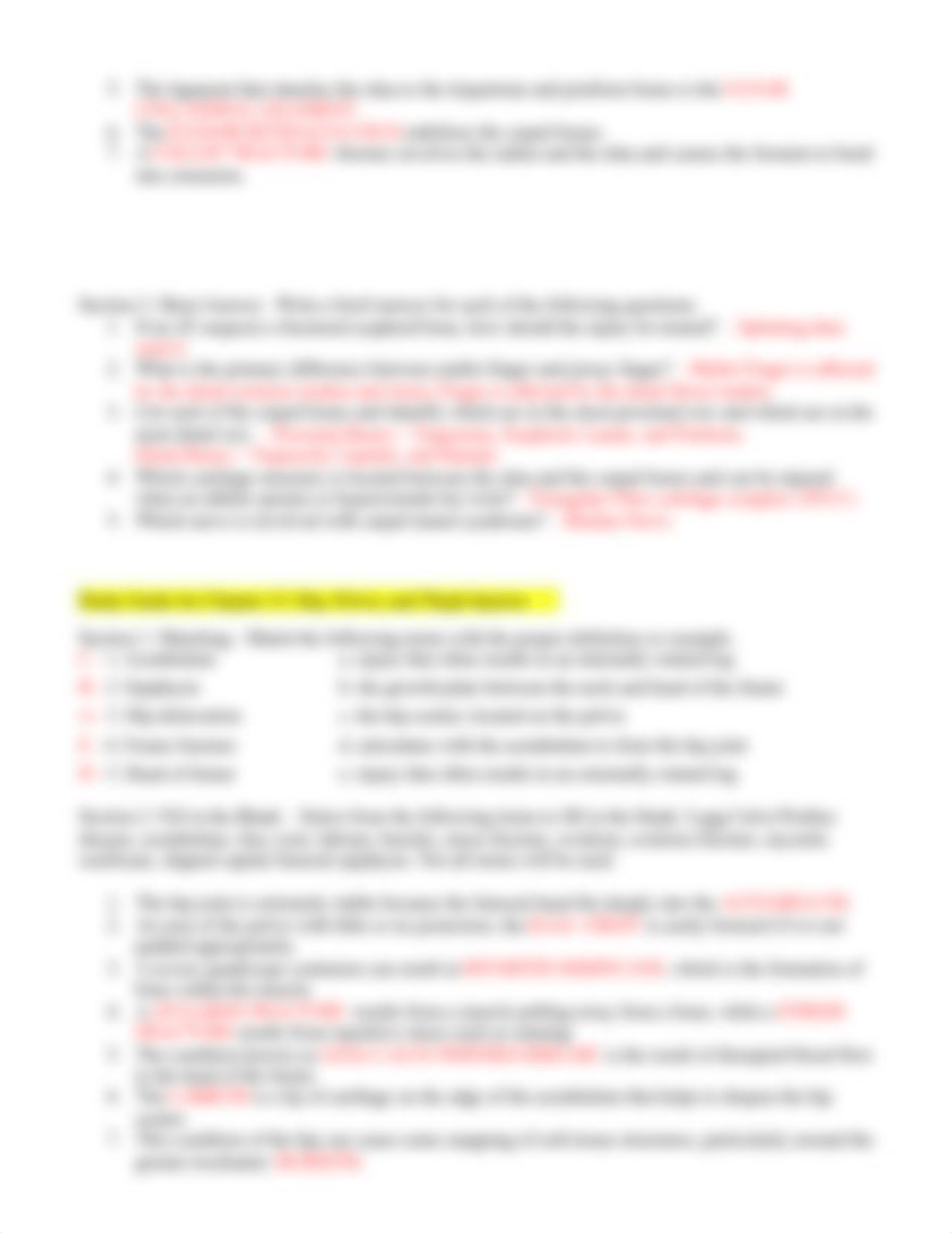 Basic Final Study Guide.docx_do1q7lqnqgb_page3