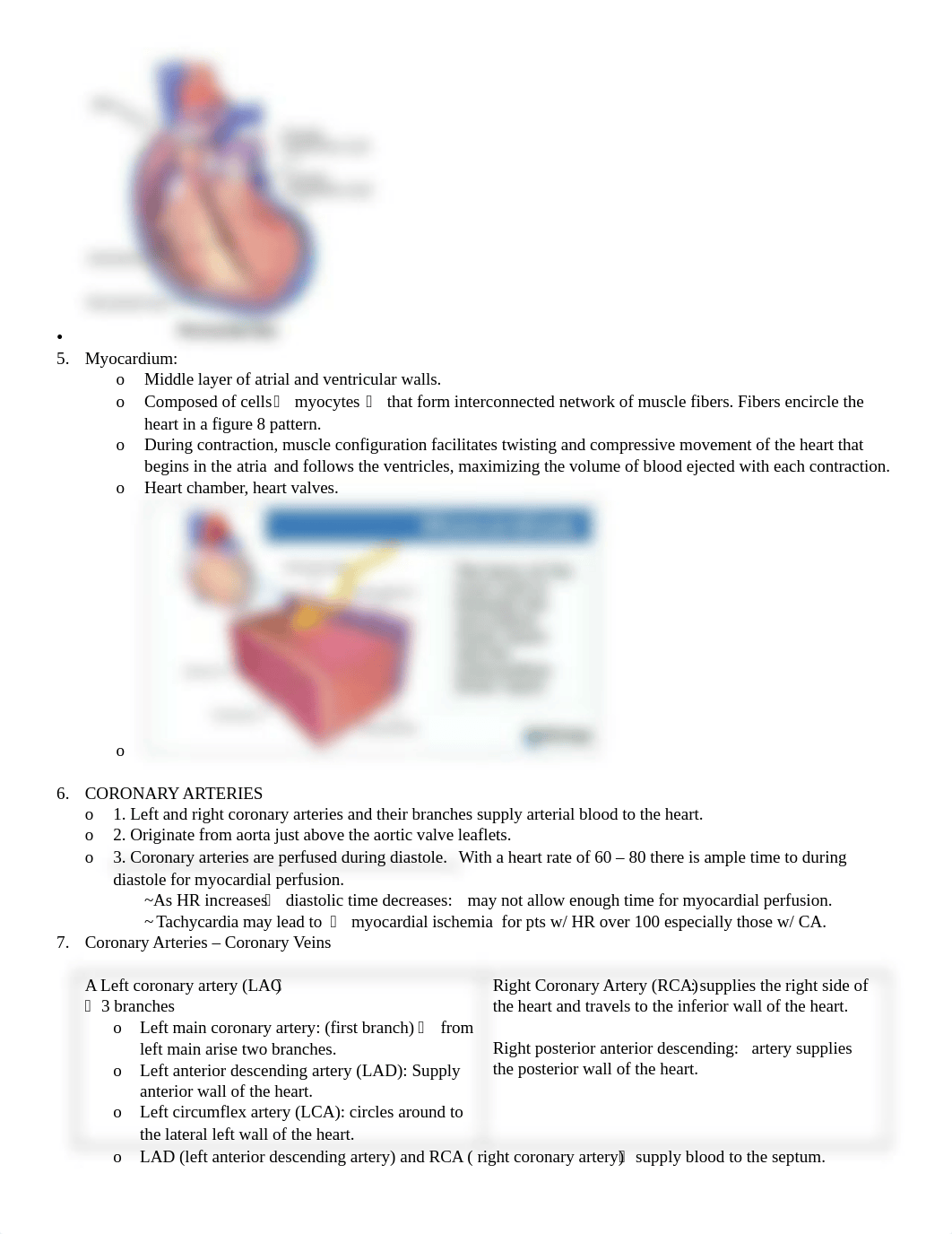 Exam 2 Medsurg- Cardiac.docx_do1qld42ury_page2