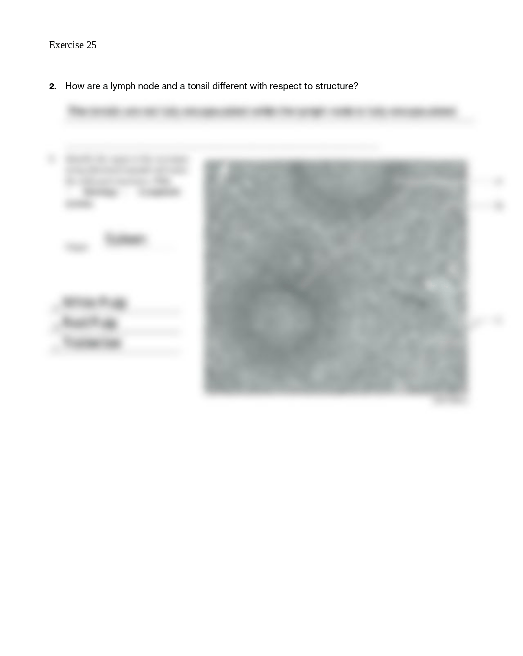 11. Unit 11 laboratory exercise 25 EDIT- done.pdf_do1srcy5yf4_page2