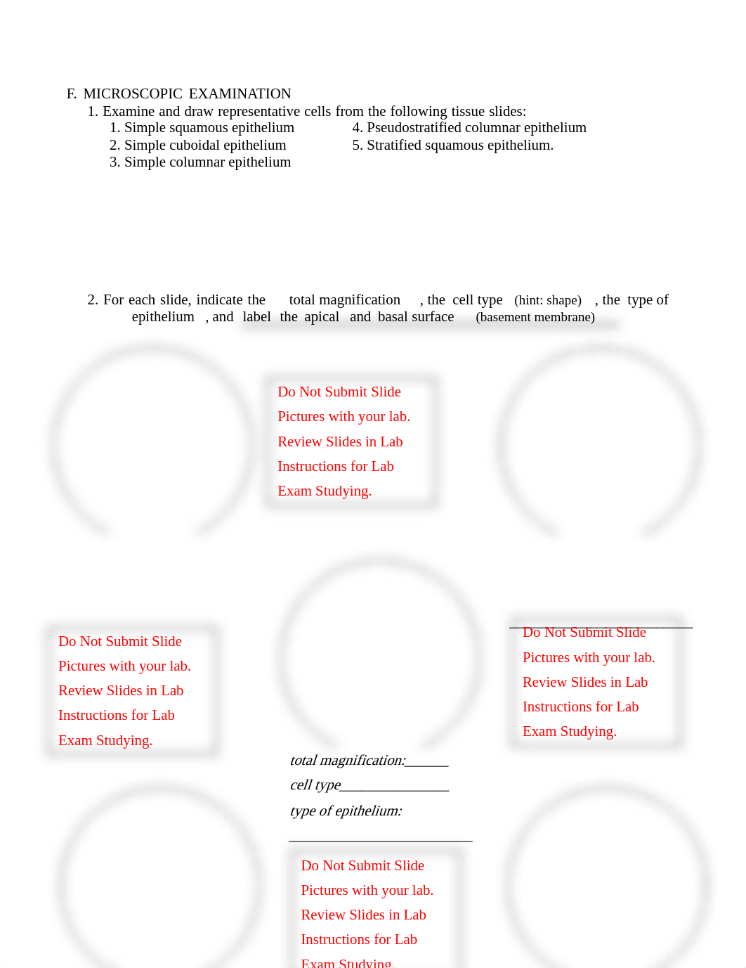 Ex 6, 7 Combined Online Lab Report.pdf_do1t6kfagkk_page3