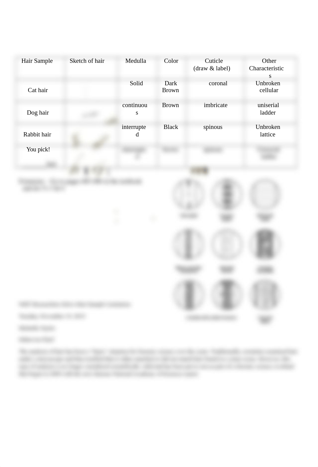 Forensic Hair Analysis Lab eedit.docx_do1tv727138_page2