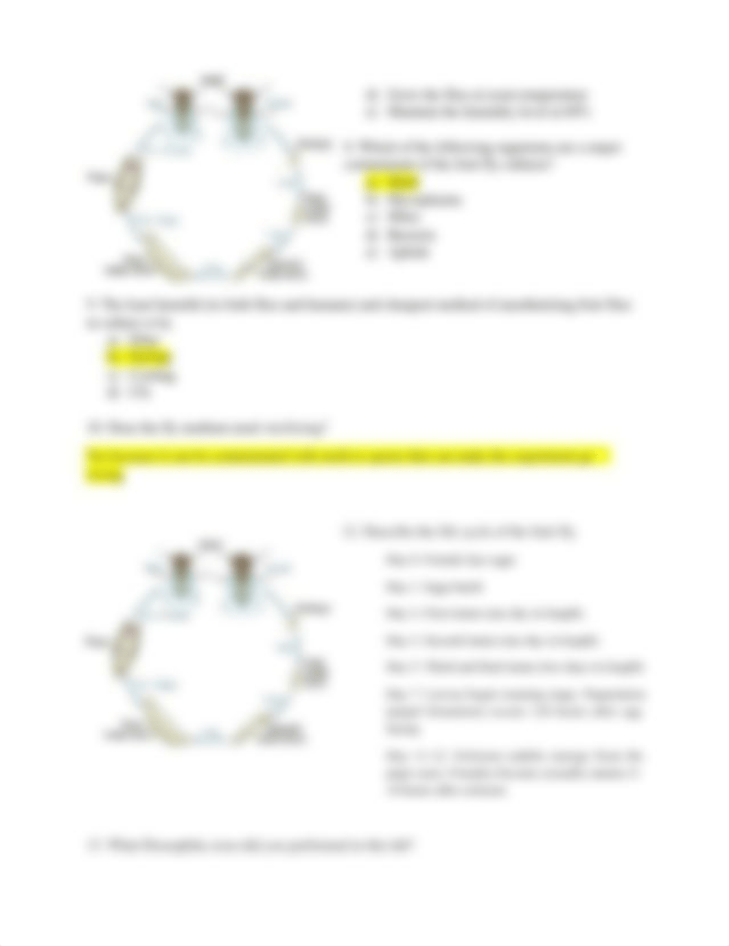 Drosophila genetics Assignment (1).docx_do23bxvpw7i_page2