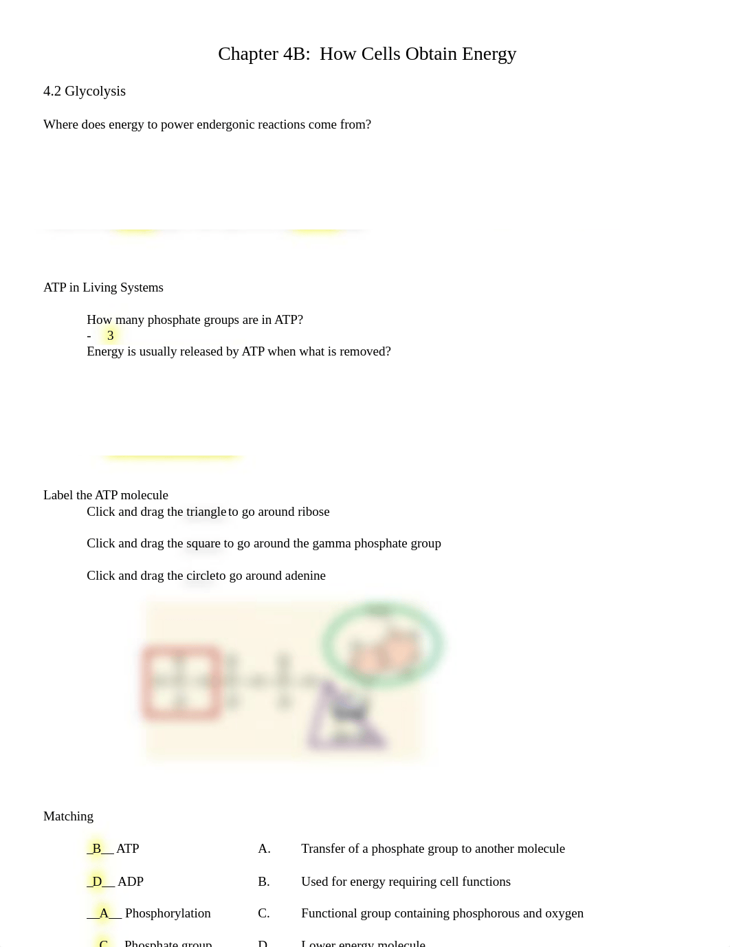 Chapter 4B Worksheet.docx_do23oemixun_page1