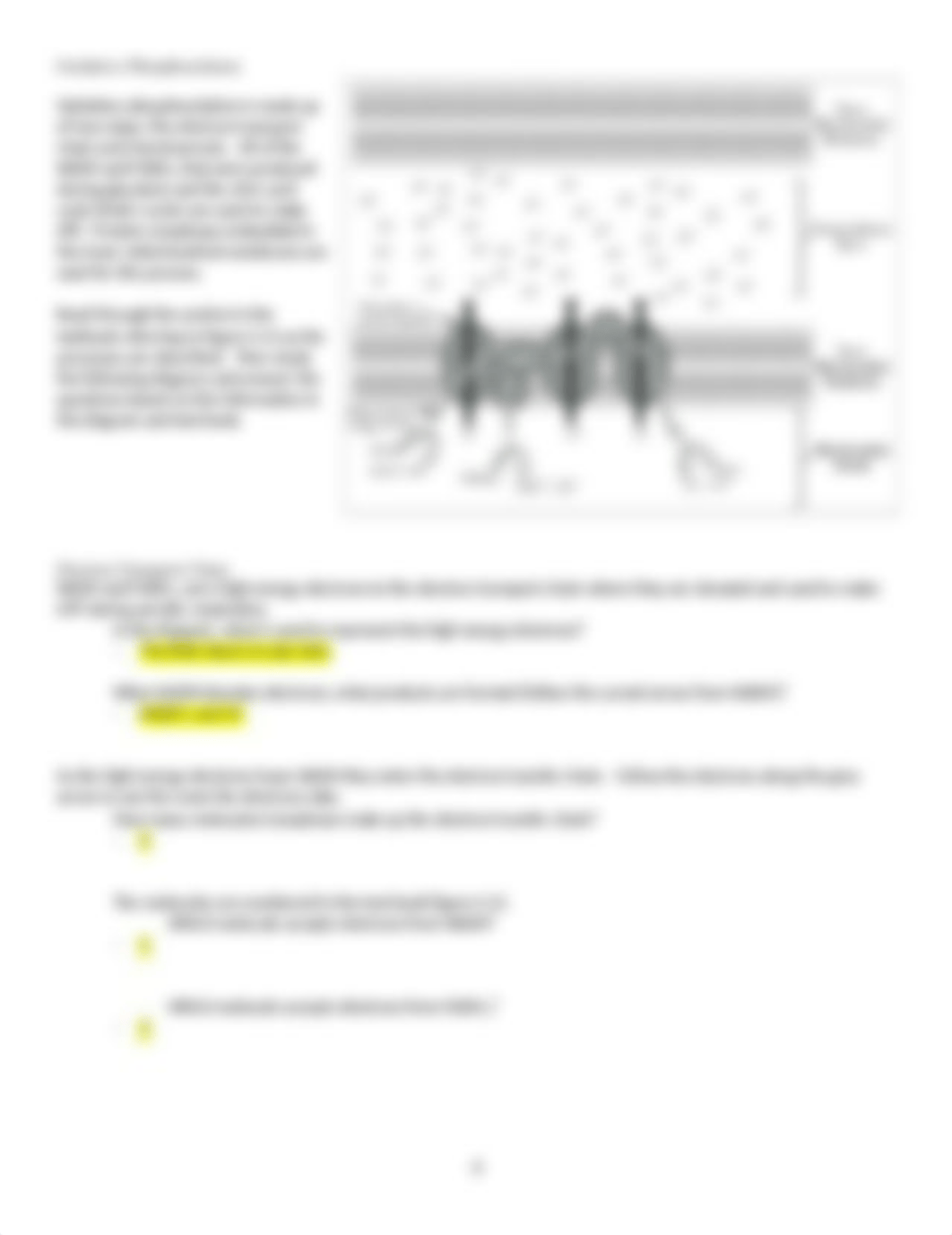 Chapter 4B Worksheet.docx_do23oemixun_page4