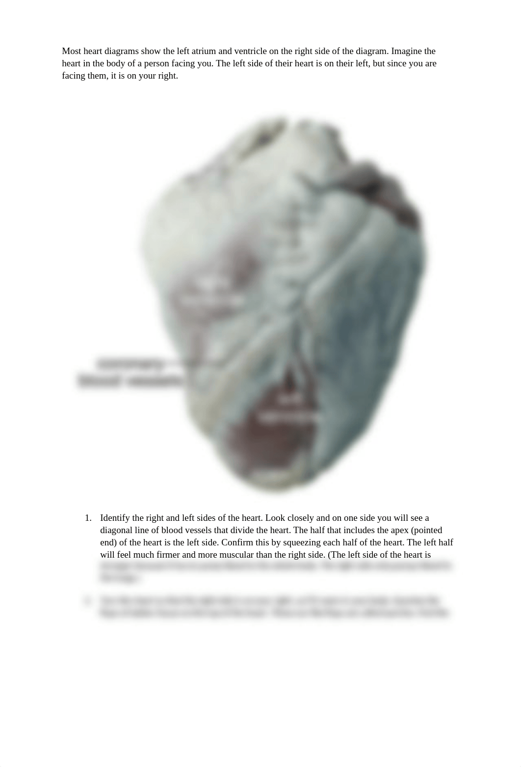 BIO 250 - Cardiovascular Lab 10 - Copy.docx_do279na6aio_page2