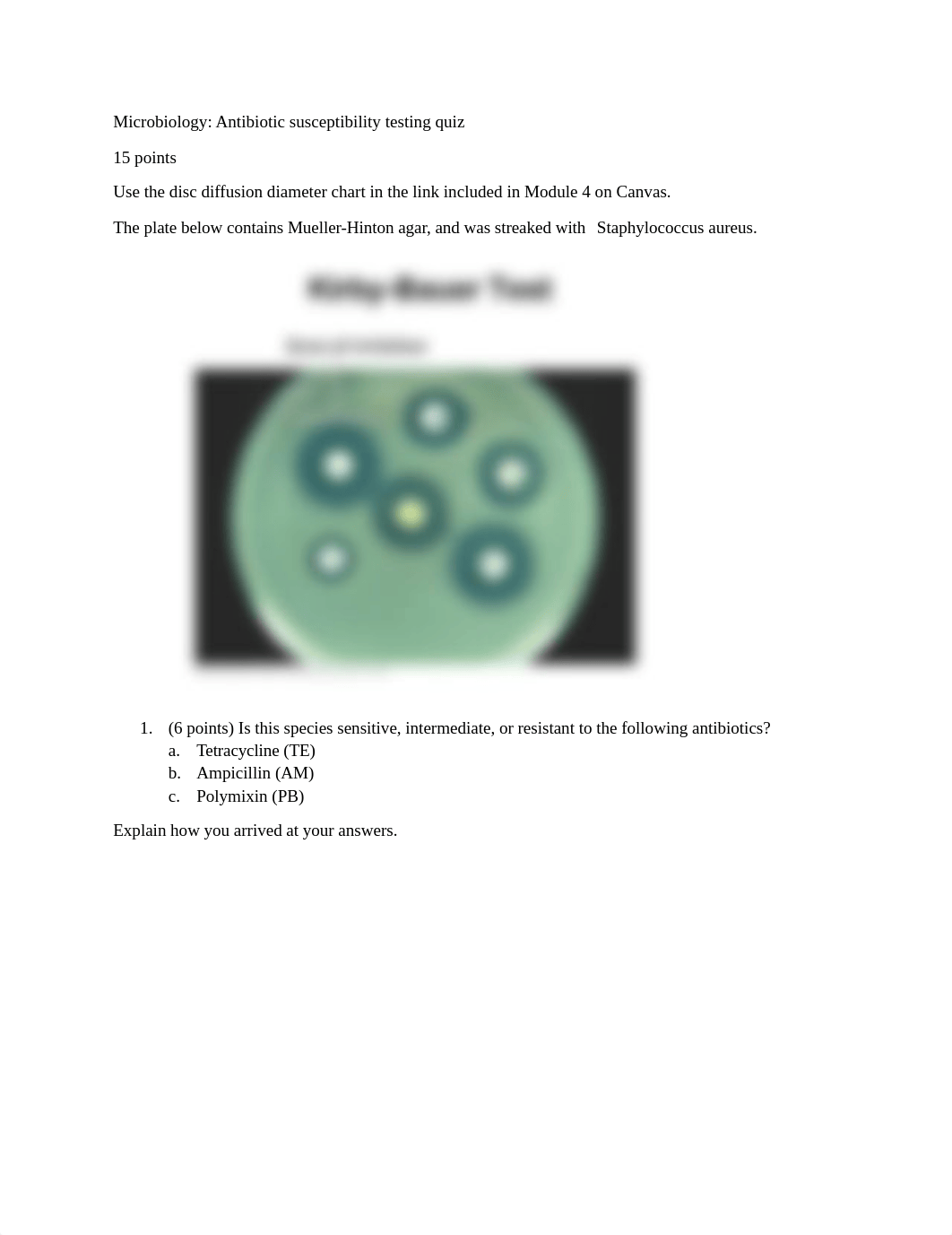 Kirby Bauer quiz (1).docx_do2cu0i720w_page1