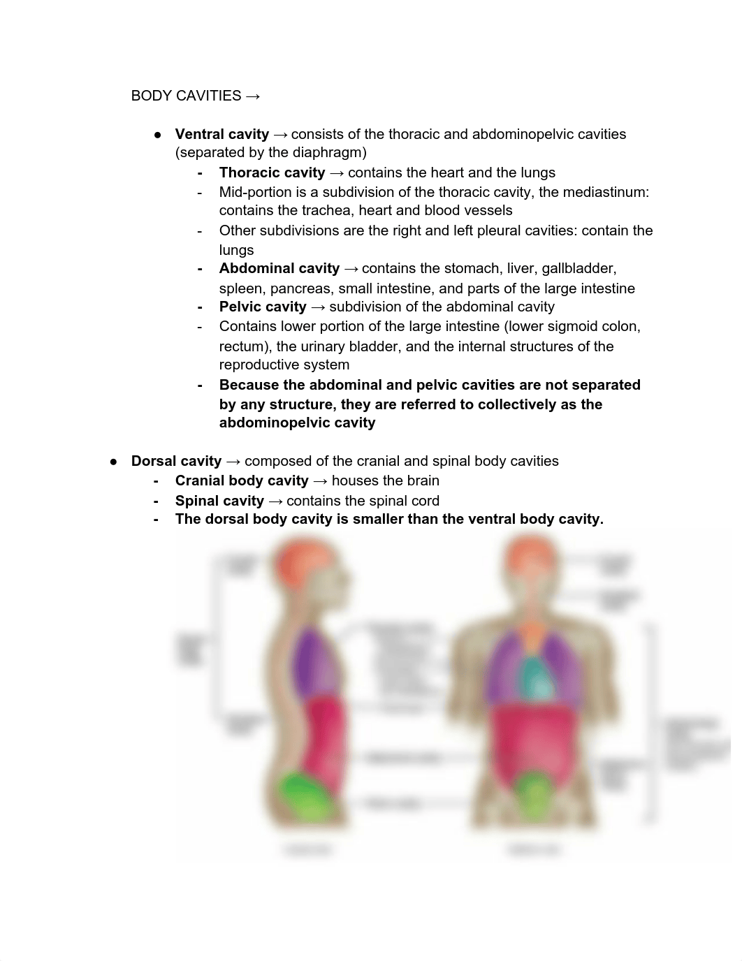 MED SURG exam 1.pdf_do2fvr96mfj_page2