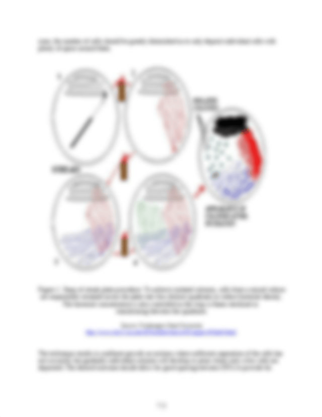 Exercise 7- Obtaining Pure Culture - Streak Plate Method (Printable).docx_do2j3tkyl4y_page2