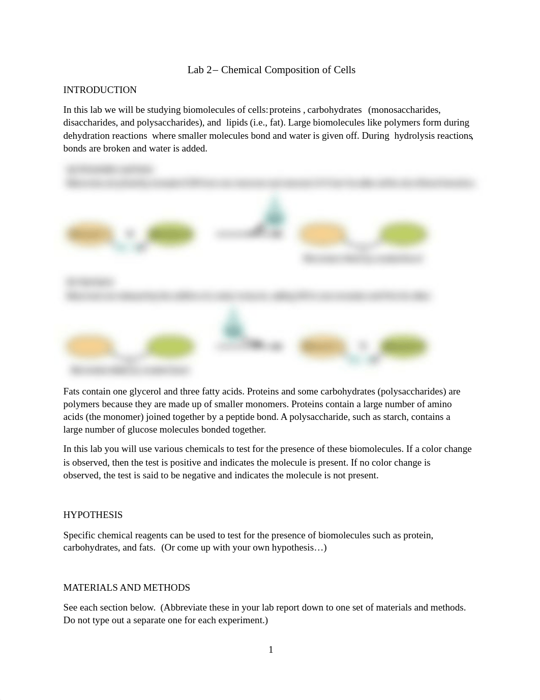 Lab 2 - Chemical composition of cells rev (5).pdf_do2nkwf8mex_page1