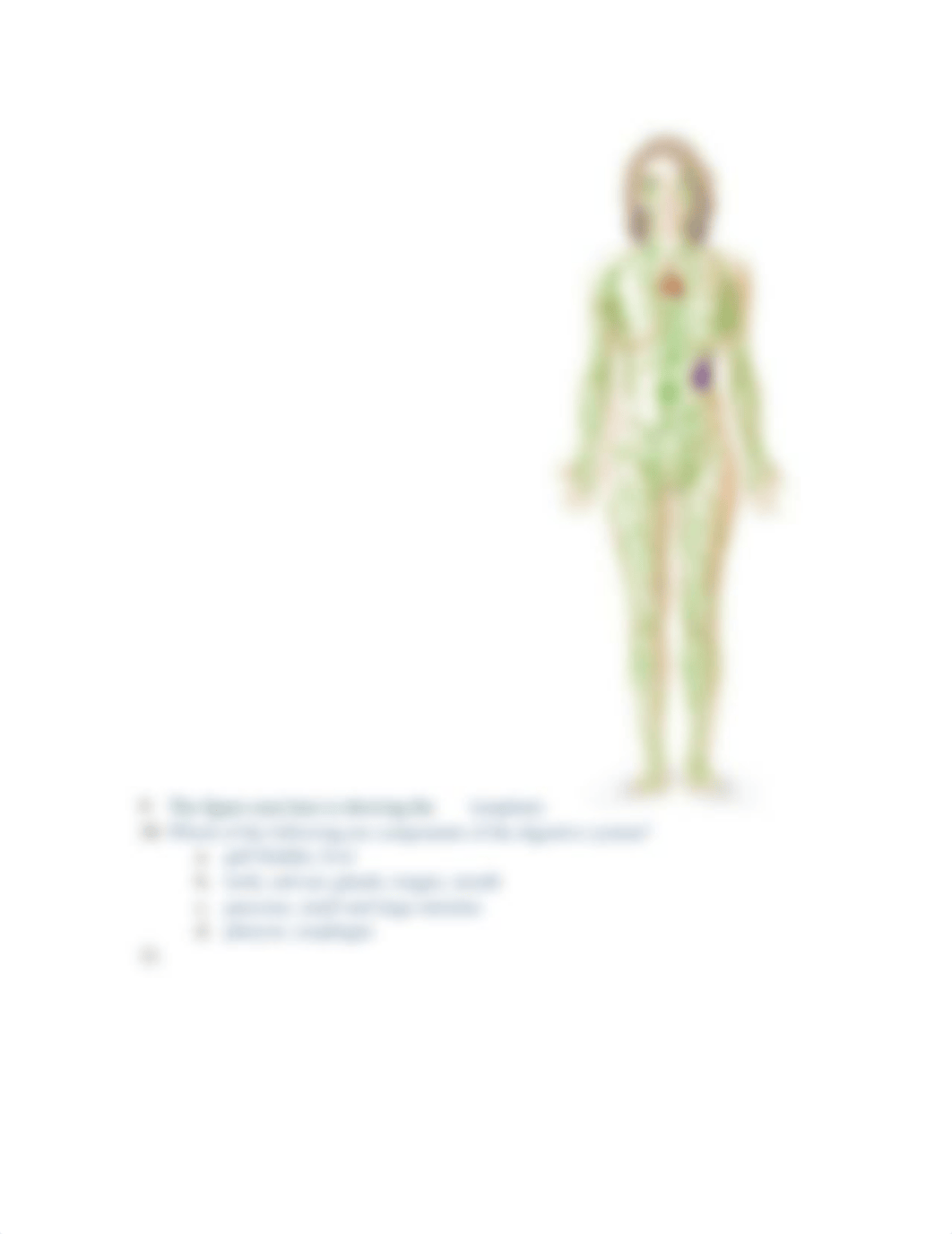 Smartbook Ch. 1 Introduction to Human Anatomy and Physiology.docx_do2teyv31bc_page2