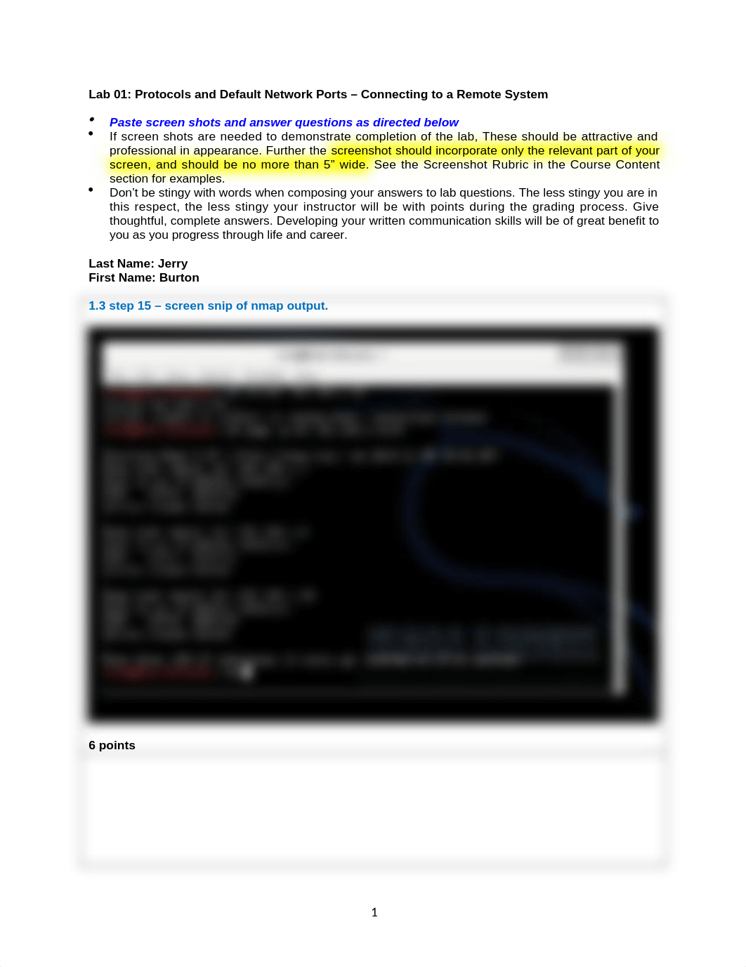 Lab 01 Jerry Burton.docx_do30cys8vcl_page1