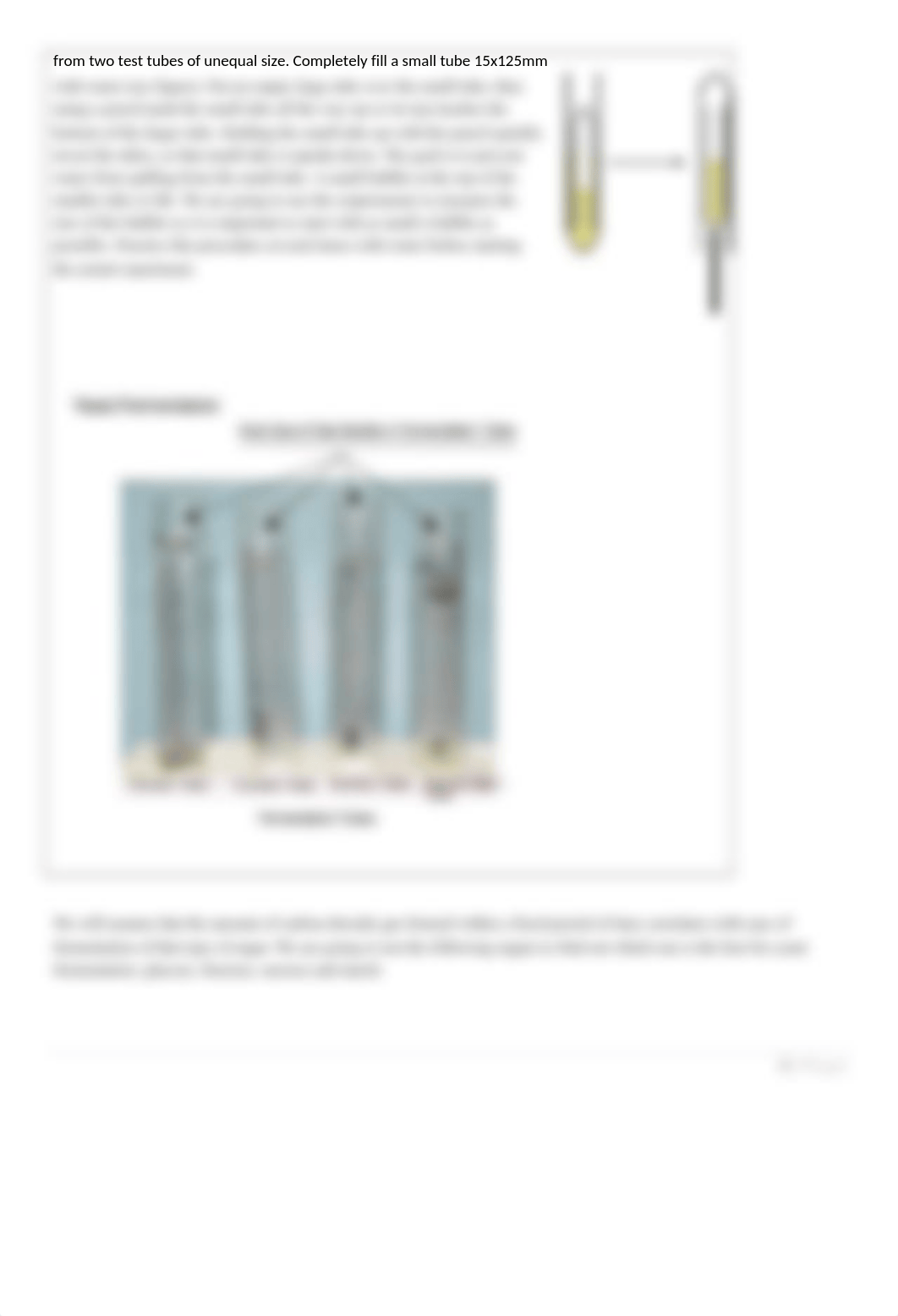 Lab Cellular Respiration - 1308.docx_do35tmo36hm_page2