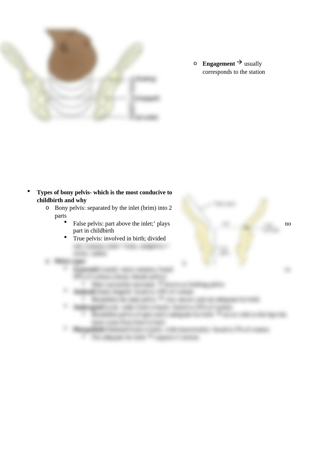 Exam 4 Study Guide.docx_do37fwfuwt1_page5