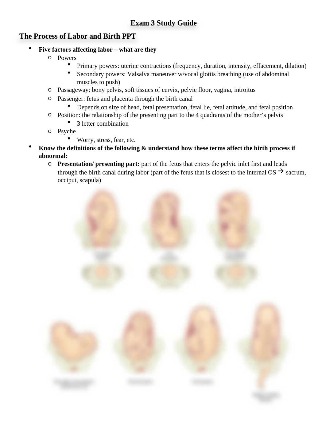 Exam 4 Study Guide.docx_do37fwfuwt1_page1