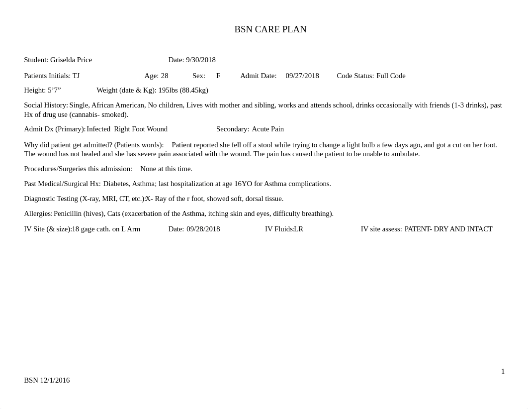 Care%20Plan%20BSN%2012-1-2016(1).docx_do3ai70phjv_page1