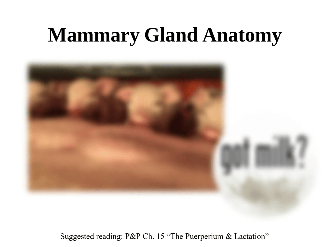 24. Mammary Gland Anatomy.pdf_do3f64qqo4p_page2