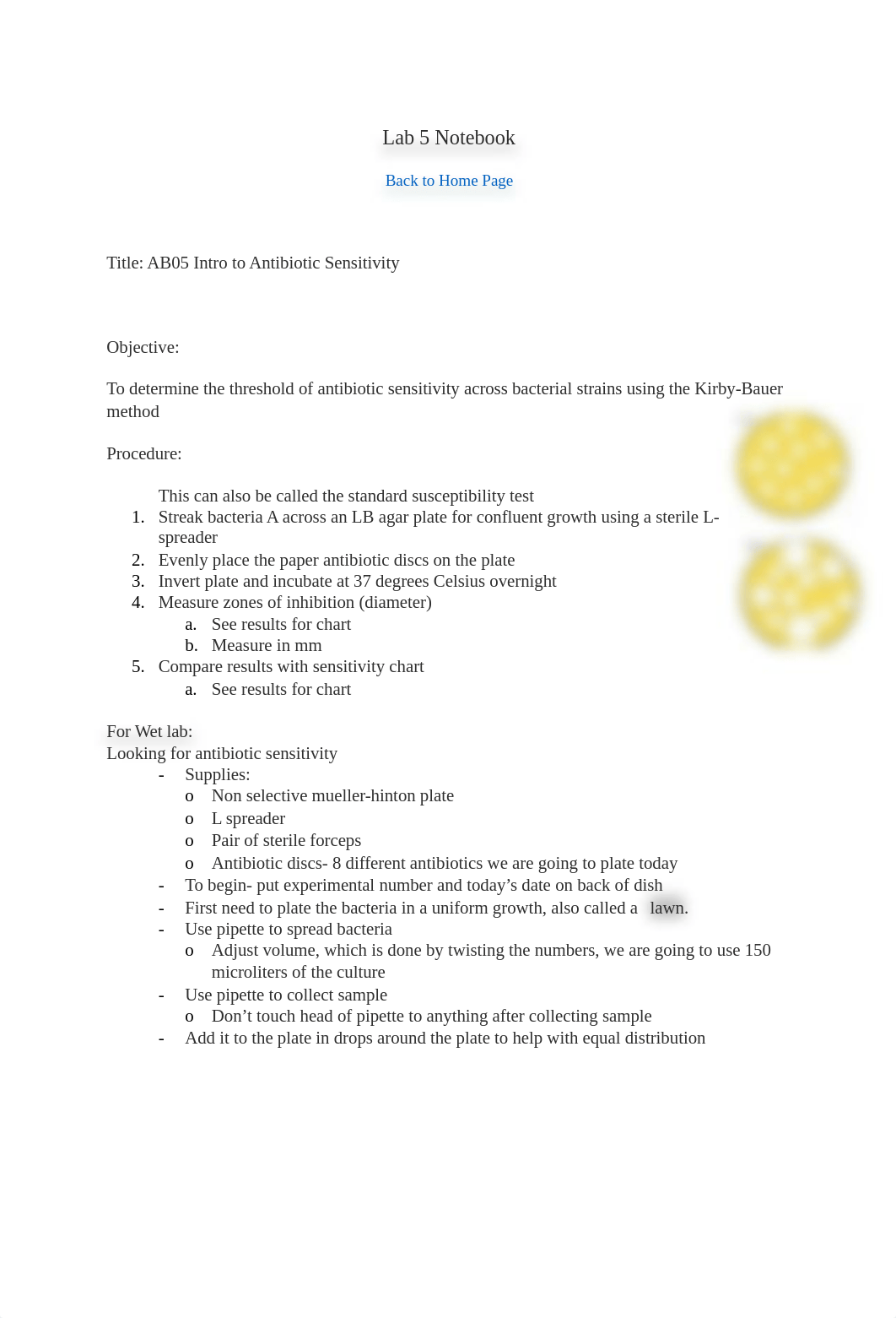 BIOD 171 Microbiology Lab 5 Notebook.docx_do3lio700x6_page1