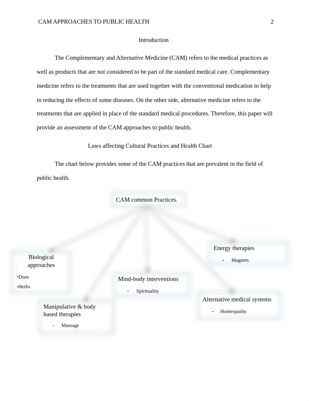 Complementary and Alternative Medicine (CAM) Approaches to Public Health.docx_do3uwj9z1ip_page2