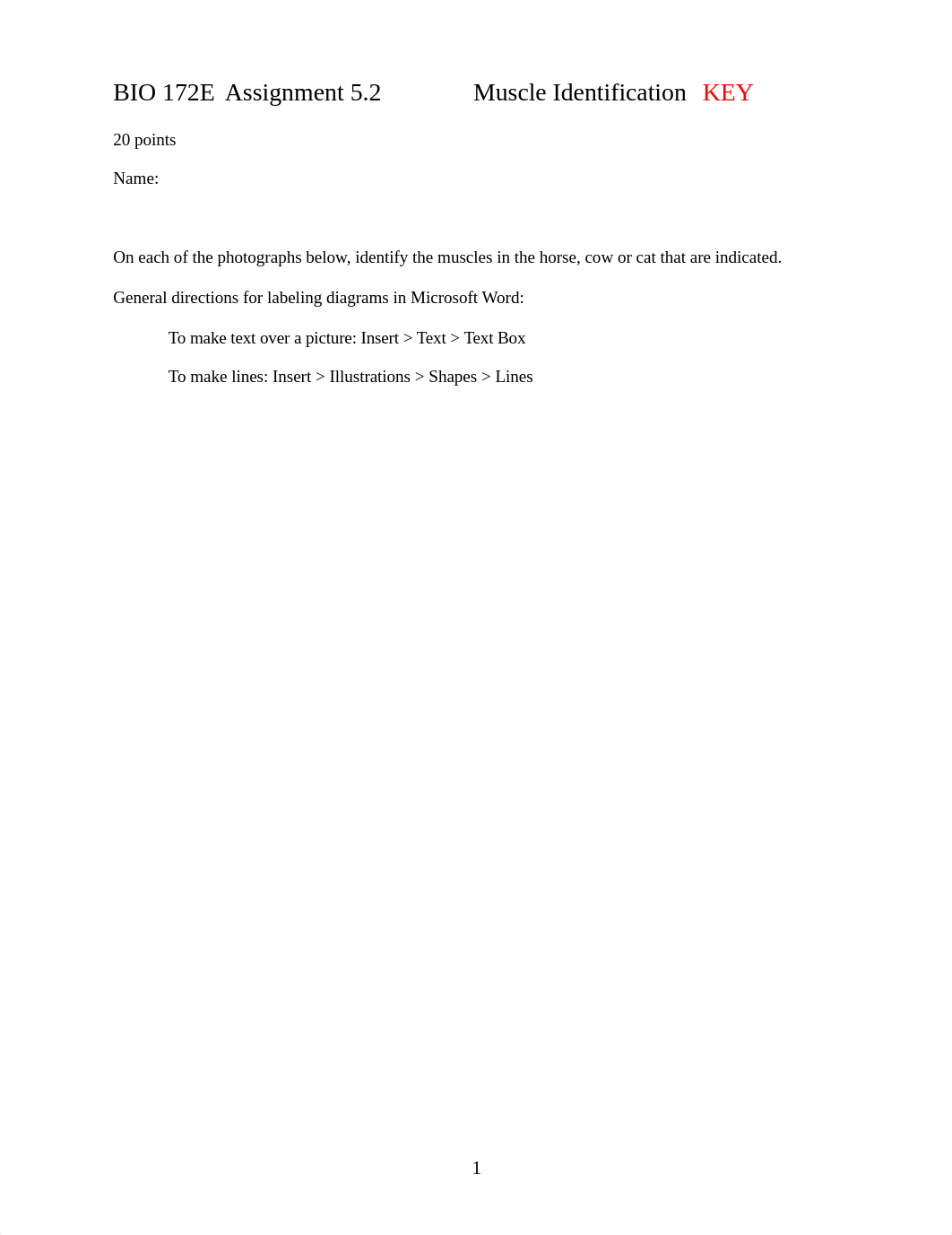 ASSN 5.2 MUSCLE IDENTIFICATION KEY(1).docx_do3wesv7qb2_page1